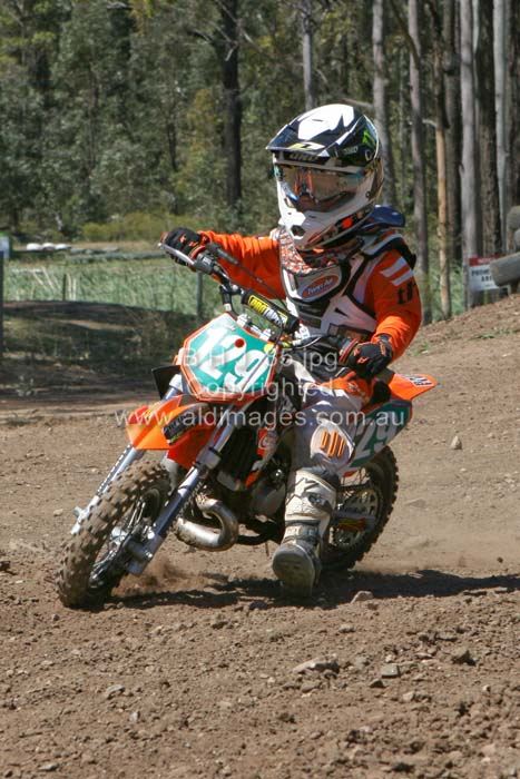 445x677 pixels (81K)